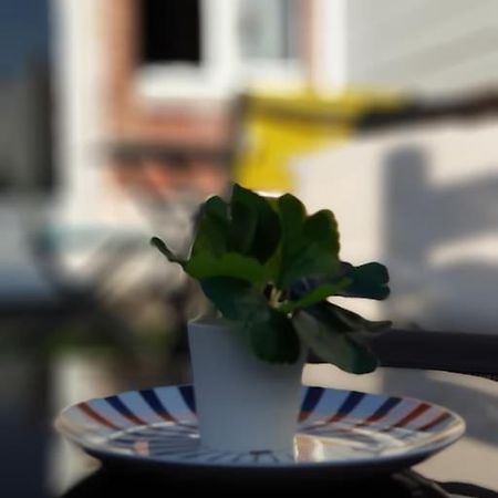 Le Chat Bleu - 26M2- Terrasse Sur Les Toits - Wi-Fi Amiens Luaran gambar