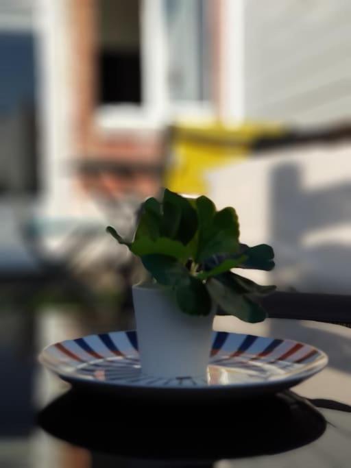 Le Chat Bleu - 26M2- Terrasse Sur Les Toits - Wi-Fi Amiens Luaran gambar