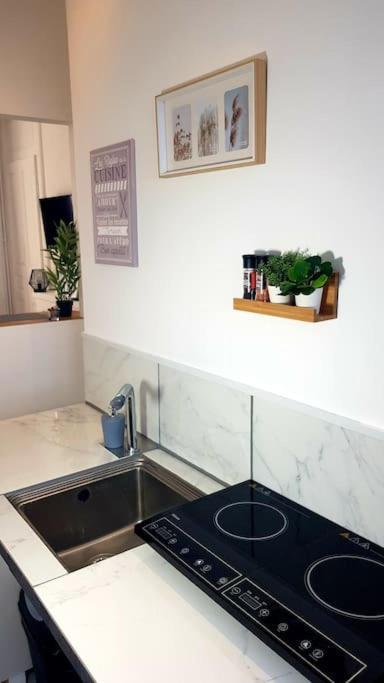 Le Chat Bleu - 26M2- Terrasse Sur Les Toits - Wi-Fi Amiens Luaran gambar